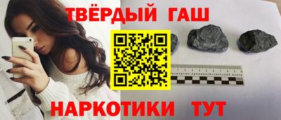 СК Бердск
